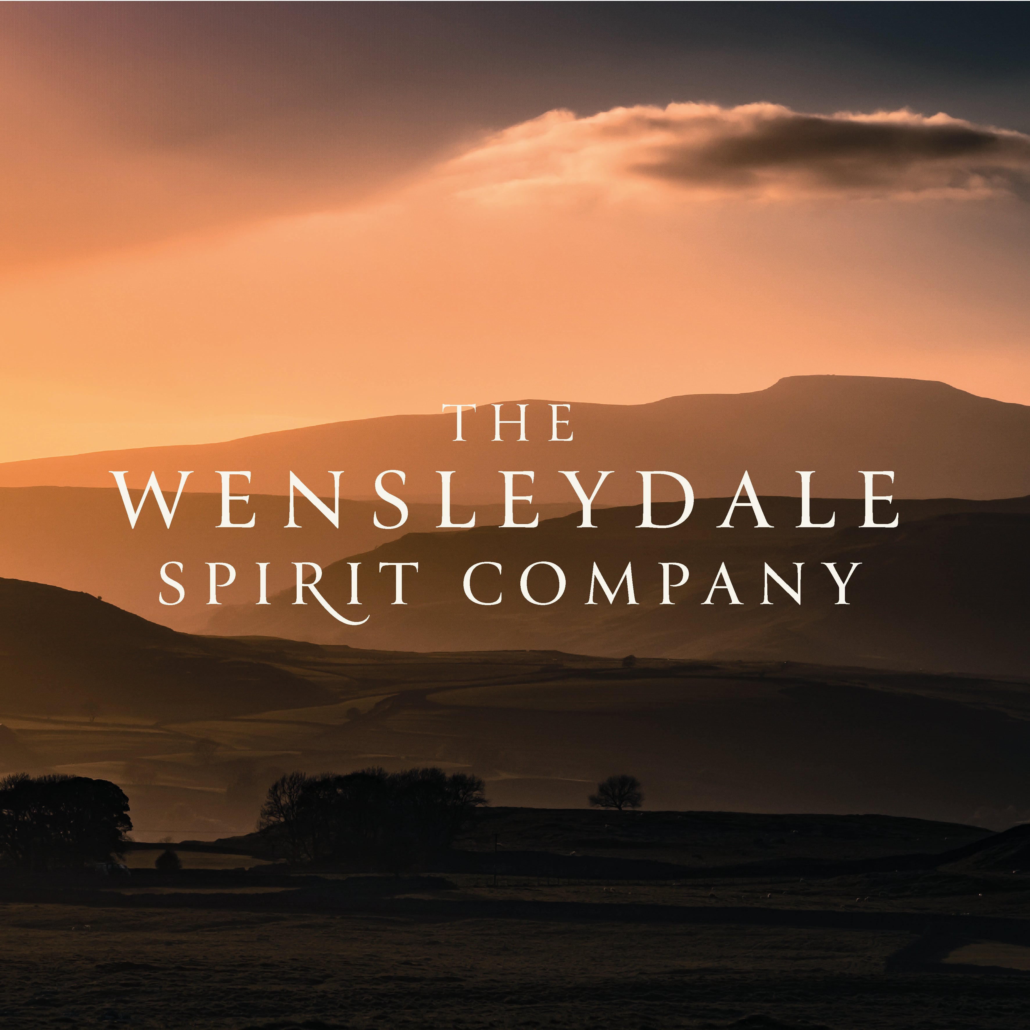 The Wensleydale Gin Train Experience - Saturday 26th April 2025